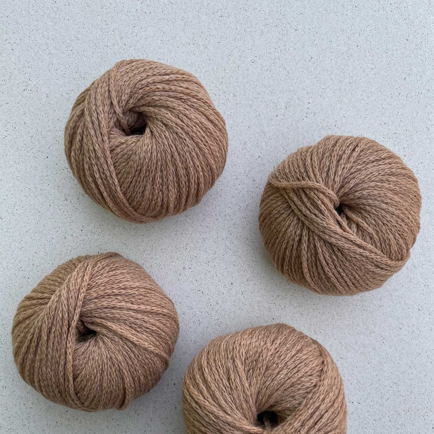 CAMEL DK | Baby kamela vuna