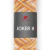 Pro Lana Joker 8 color – Color Mix 10 (540)